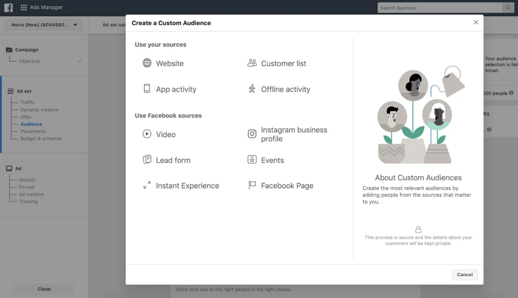 custom audience